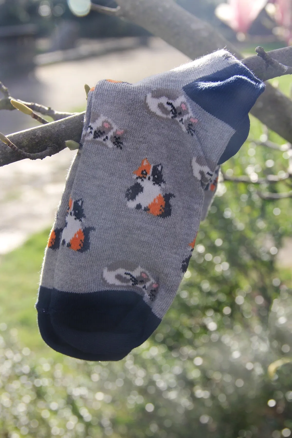 All Over Cats Print Grey Women's Socks