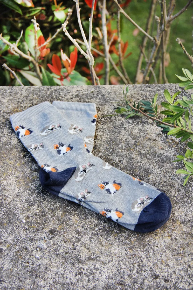 All Over Cats Print Grey Women's Socks