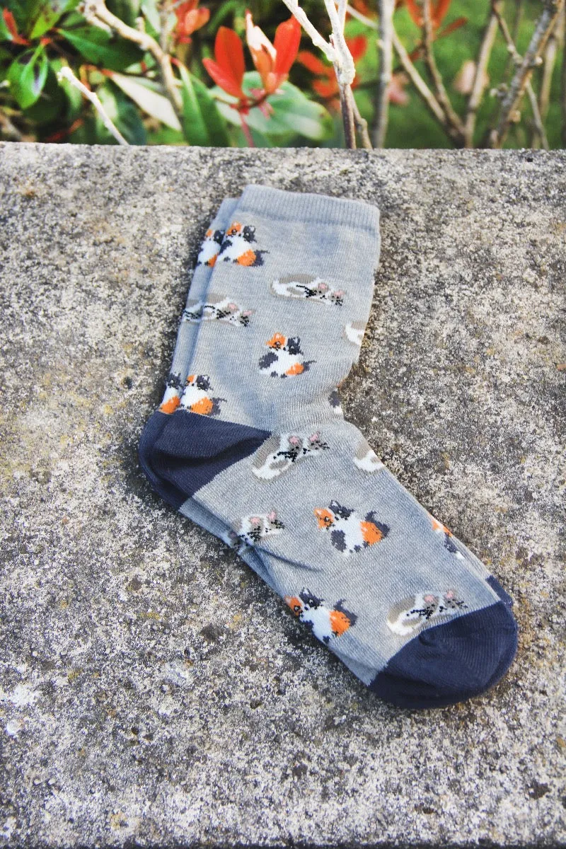 All Over Cats Print Grey Women's Socks