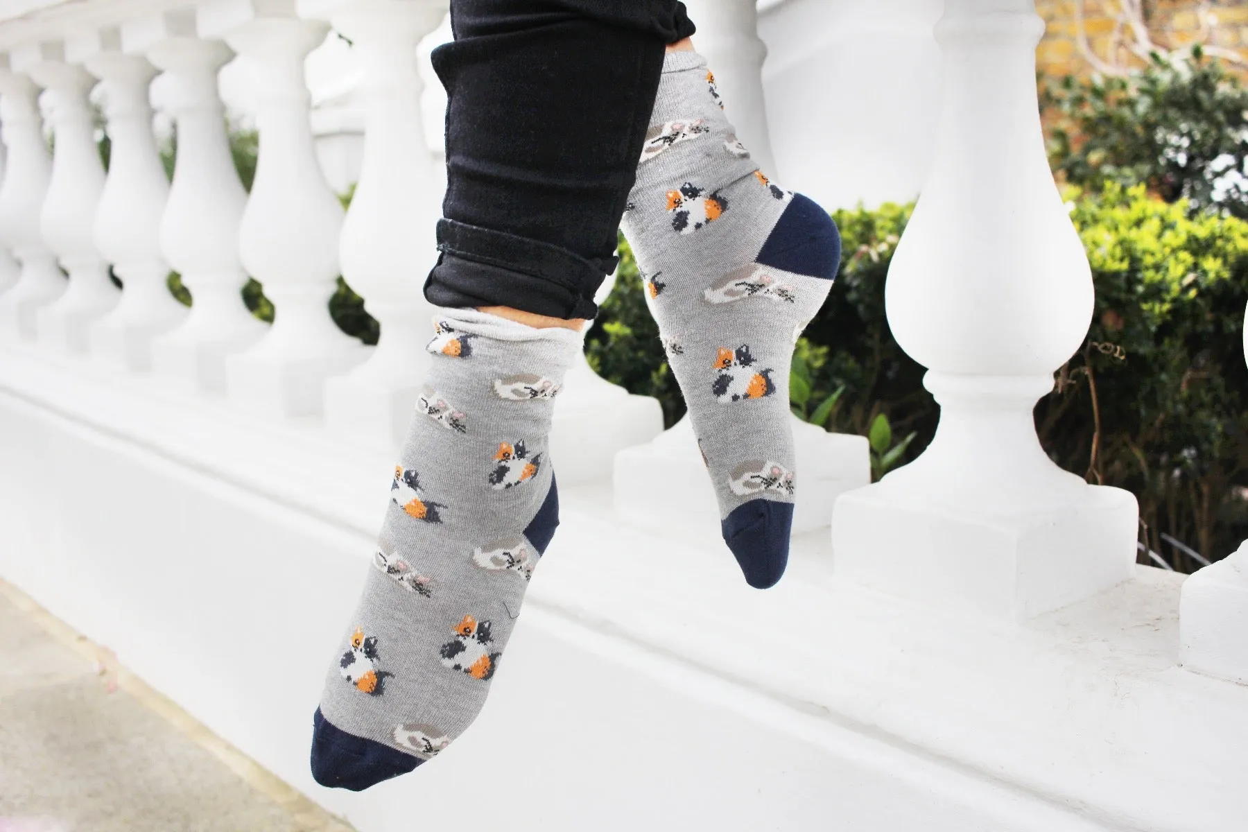 All Over Cats Print Grey Women's Socks