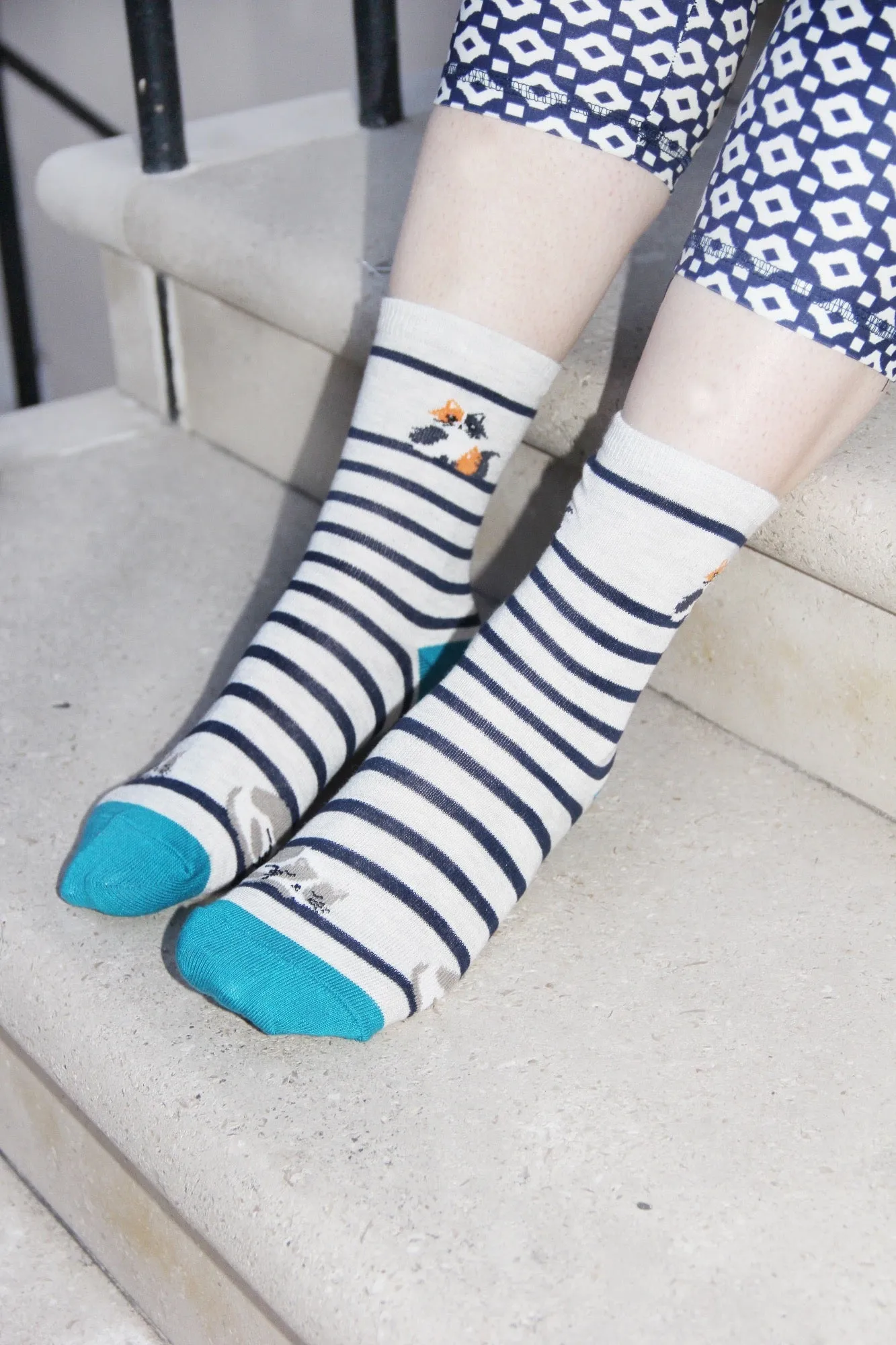 Cats Print  Pale Grey Women's Socks