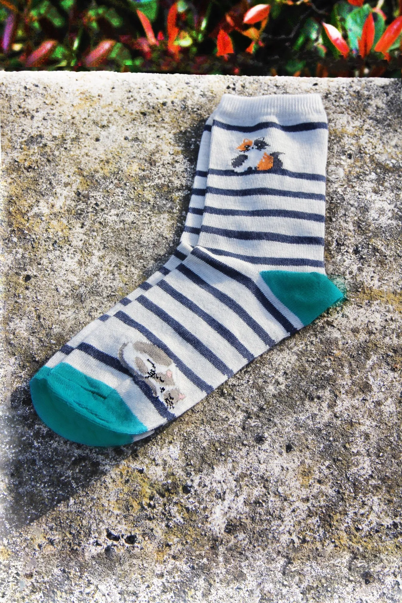 Cats Print  Pale Grey Women's Socks