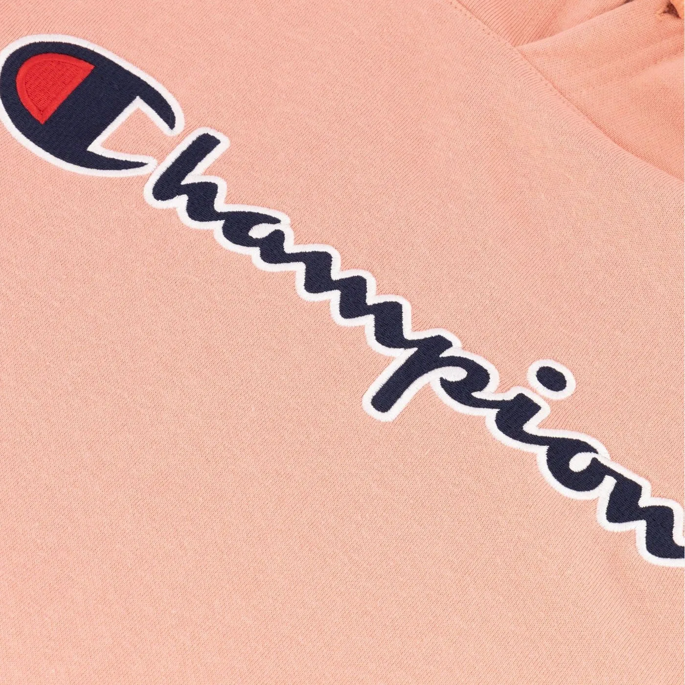 Champion Men's Script Logo Fleece Hoodie 217060 PS092