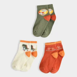 Dinomite Earthy Knitted Multicolor Socks Pack of 3